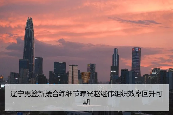 辽宁男篮新援合练细节曝光赵继伟组织效率回升可期